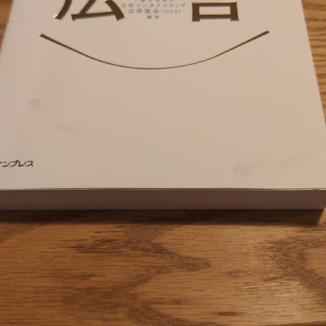 必携インターネット広告プロが押さえておきたい新常識 エンタメ/ホビーの本(ビジネス/経済)の商品写真