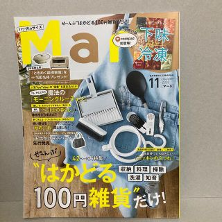 コウブンシャ(光文社)の20.11 バッグinサイズ Mart (マート) 2020年 11月号(生活/健康)