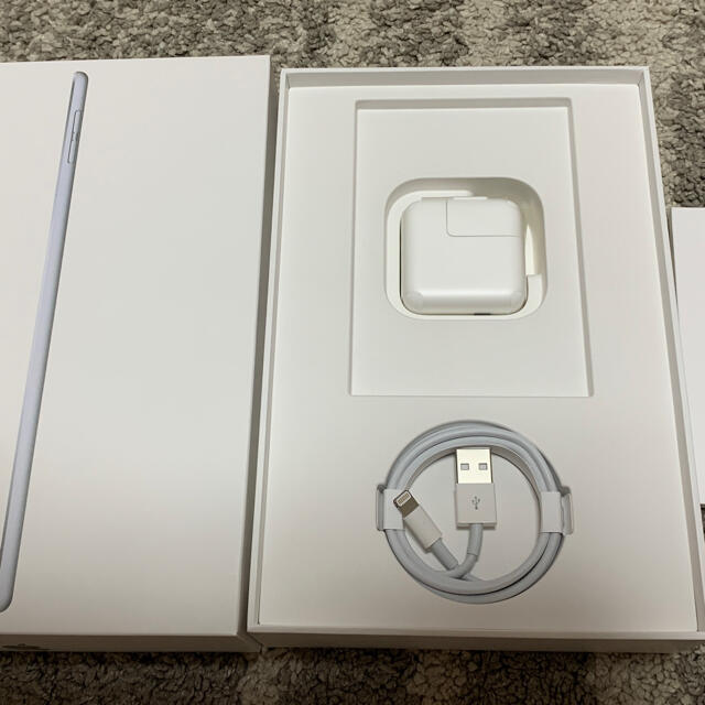 ☆iPad mini 5 Cellular 64GB Silver SIMフリー 2