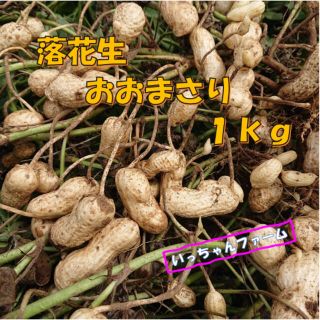 安全・安心野菜　落花生（おおまさり）　１kg（（箱の重さは含まず）より　(野菜)