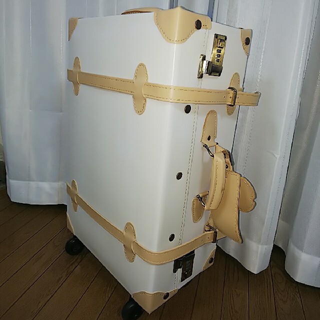 ずん様 専用 HNAism トランクケース キャリーケース スーツケース スーツケース/キャリーバッグ