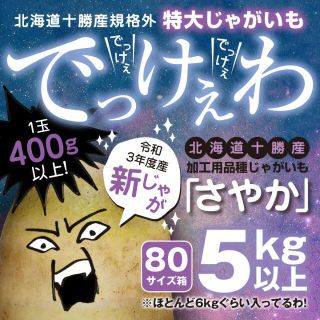 新じゃが5kg以上【北海道十勝産さやか】規格外超特大サイズ【結構レア】土付き(野菜)