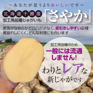 新じゃが5kg以上【北海道十勝産さやか】規格外超特大サイズ【結構レア】土付き(野菜)