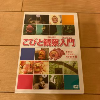 こびと観察入門　モモジリ　クサマダラ　モクモドキ編 DVD(アニメ)