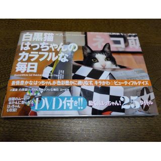 白黒猫はっちゃんのカラフルな毎日☆肉球サイン入り(趣味/スポーツ/実用)