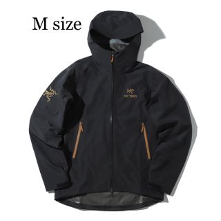 アークテリクス ダブル マウンテンパーカー(メンズ)の通販 81点 | ARC