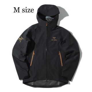 アークテリクス(ARC'TERYX)のアークテリクス　ビームス　別注　ゼータsl ZETASL(マウンテンパーカー)