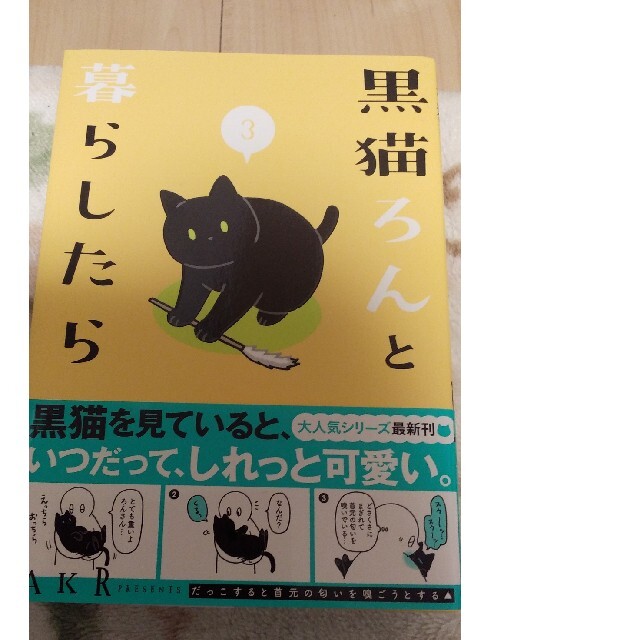 黒猫ろんと暮らしたら ３ エンタメ/ホビーの本(文学/小説)の商品写真