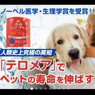 世界初！日本先行販売　ペット用テロメアのサプリ　普段のご飯に混ぜるだけ　1缶(犬)