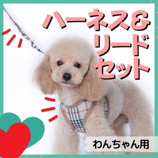 犬 正月 かぶりもの 鏡餅 年賀状の通販 By きいろ6100 S Shop ラクマ 犬 正月 かぶりもの 鏡餅 年賀状の通販 By きいろ6100 S Shop ラクマ