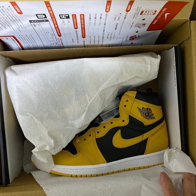 NIKE(ナイキ)のAIR JORDAN1 HIGH OG POLLEN 26.0cm  パラン メンズの靴/シューズ(スニーカー)の商品写真