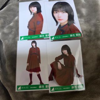 ケヤキザカフォーティーシックス(欅坂46(けやき坂46))の欅坂46 櫻坂46 藤吉夏鈴　生写真　不協和音　コンプ(アイドルグッズ)