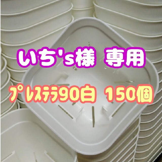 【スリット鉢】プレステラ90白150個 多肉植物 プラ鉢 ハンドメイドのフラワー/ガーデン(プランター)の商品写真