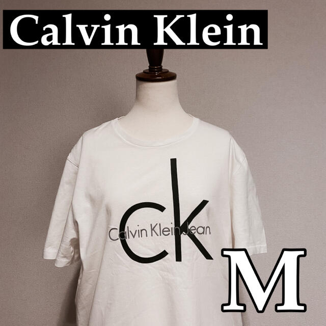 Calvin Klein(カルバンクライン)のカルバンクライン　ロゴTシャツ　M『お値下げしました』 メンズのトップス(Tシャツ/カットソー(半袖/袖なし))の商品写真