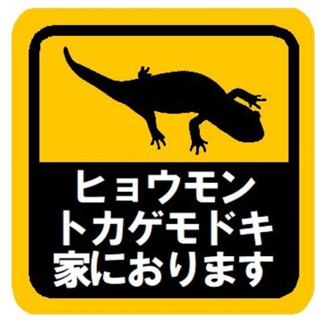 ヒョウモントカゲモドキ 家におります カー マグネットステッカー 自動車/バイクの自動車(車外アクセサリ)の商品写真