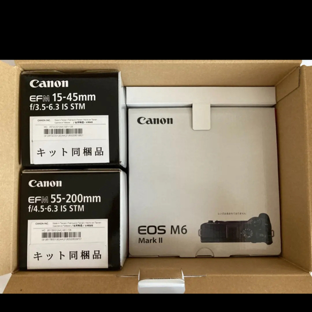 カメラCanon EOS M6 MARK II (おまけが凄い！)一眼レフ