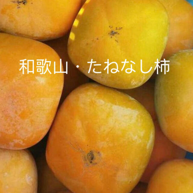 家庭用 和歌山産 たねなし柿 7.5キロ 食品/飲料/酒の食品(フルーツ)の商品写真
