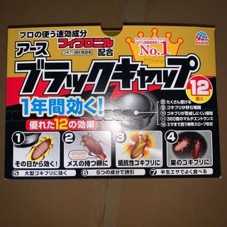 アースセイヤク(アース製薬)の【専用】アースブラックキャップ 12個入り×6箱×2セット(日用品/生活雑貨)