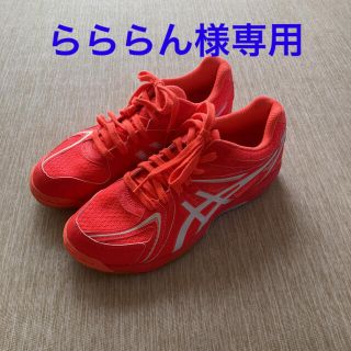 アシックス(asics)のアシックス卓球シューズ24.5cm(卓球)