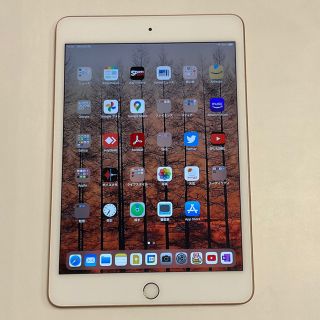 iPad mini 第 5世代Wi-Fi 64GB ゴールド　ケース2コ付き