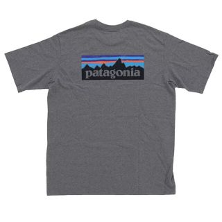 パタゴニア(patagonia)のpatagonia Tシャツ(Tシャツ/カットソー(半袖/袖なし))