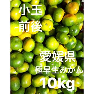 愛媛県産　極早生みかん　小玉前後　傷スレあり　10kg(フルーツ)