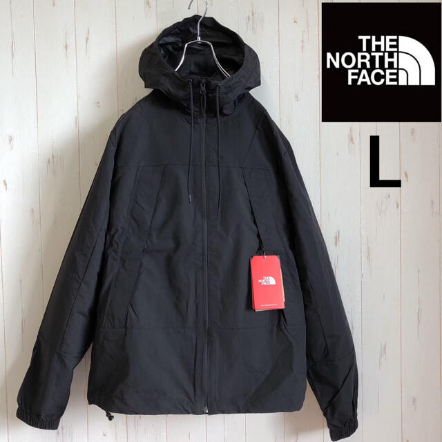 【日本未発売】TheNorthFaceマウンテンパーカーWINDWALL　黒L