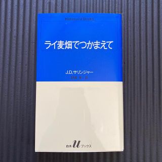 ライ麦畑でつかまえて(文学/小説)