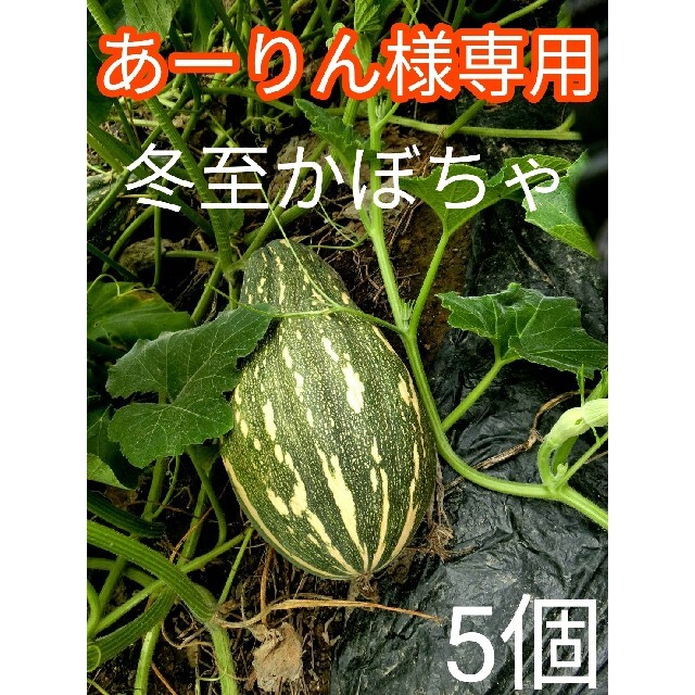 【完全無農薬】　とろける美味しさ　完熟　冬至かぼちゃ　めちゃ甘　糖度20度以上