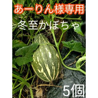 【完全無農薬】　とろける美味しさ　完熟　冬至かぼちゃ　めちゃ甘　糖度20度以上(野菜)