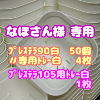 【スリット鉢】プレステラ90白50個 他 多肉植物 プラ鉢(プランター)