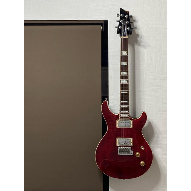 Gibson(ギブソン)の【美品】コイルタップ式　PRS風エレキギター 楽器のギター(エレキギター)の商品写真