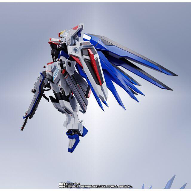 15500円 フリーダムガンダム ＜SIDE MS＞ METAL ROBOT魂 mercuridesign.com