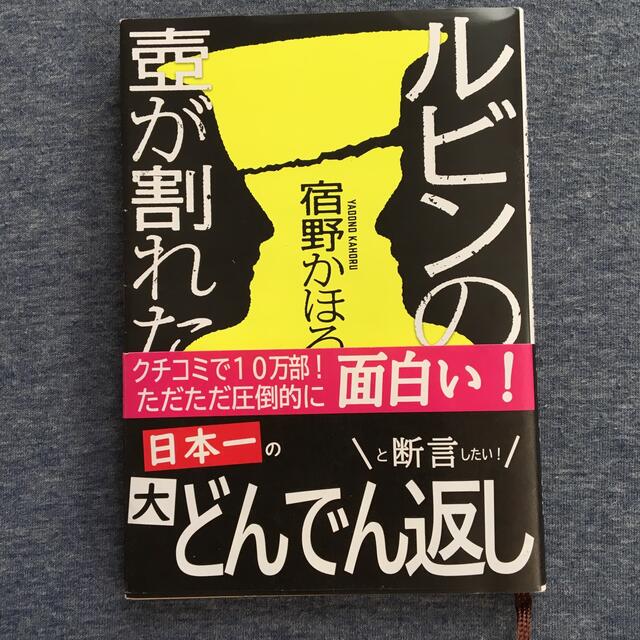 ルビンの壺が割れた エンタメ/ホビーの本(文学/小説)の商品写真