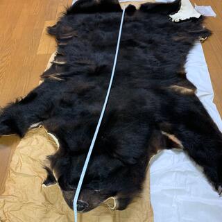 熊 毛皮 剥製 ラグの通販 by ハルボー's shop｜ラクマ