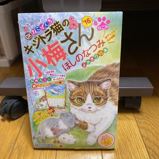 デラックスねこぱんちキジトラ猫の小梅さん 別冊ふろくオ－ルカラ－キジトラ猫の小梅(その他)