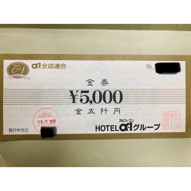 ホテルアルファーワン　金券　5000円