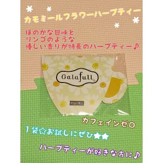 １袋入り＊カモミールフラワーハーブティー＊試供品(その他)