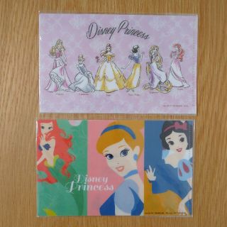 ディズニー　チケットケース　2枚(キャラクターグッズ)