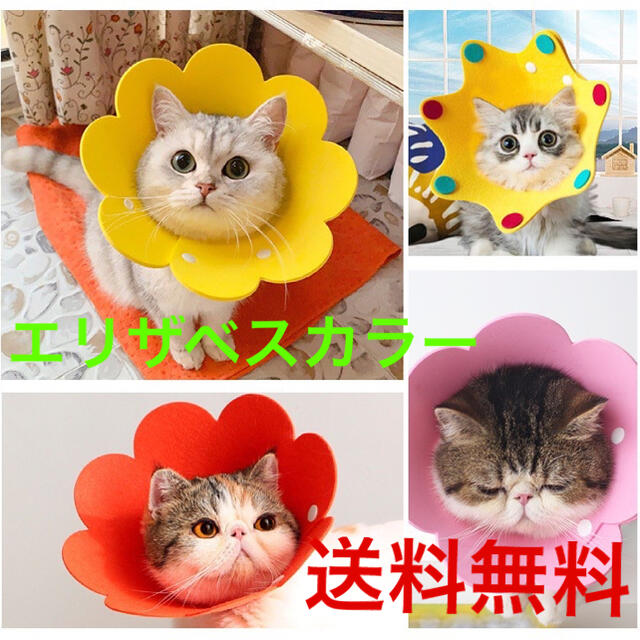 【数量限定】エリザベスカラー　犬　猫　術後　介護　傷舐め防止 その他のペット用品(猫)の商品写真