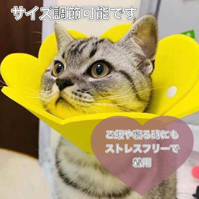 【数量限定】エリザベスカラー　犬　猫　術後　介護　傷舐め防止 その他のペット用品(猫)の商品写真