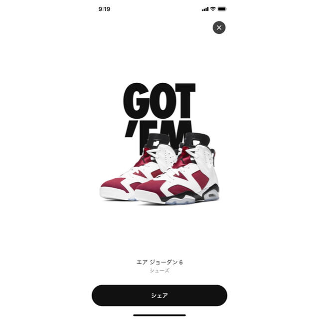 NIKE AIR JORDAN 6 Retro Carmine