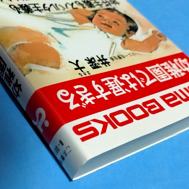 講談社(コウダンシャ)の二歳で本が読める/常識を超える幼児英語/幼稚園では遅すぎる エンタメ/ホビーの雑誌(結婚/出産/子育て)の商品写真