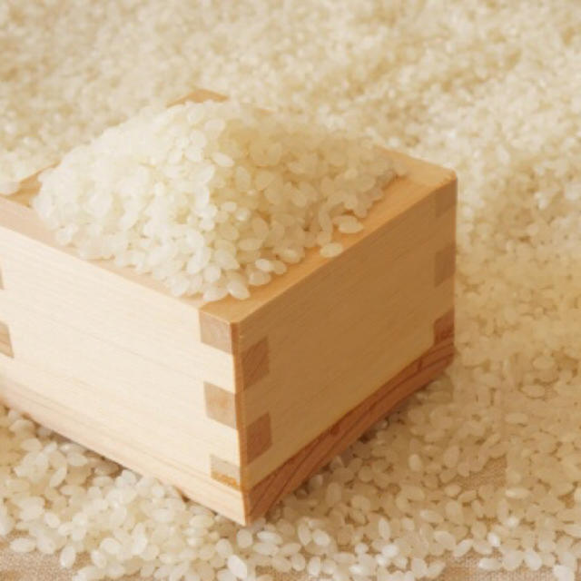 米/穀物北海道米　ふっくりんこ　新米　送料込み