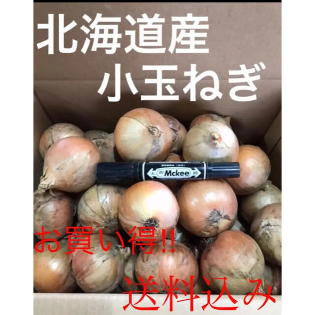 お買い得‼️北海道産　小玉ねぎ5kg 食品/飲料/酒の食品(野菜)の商品写真