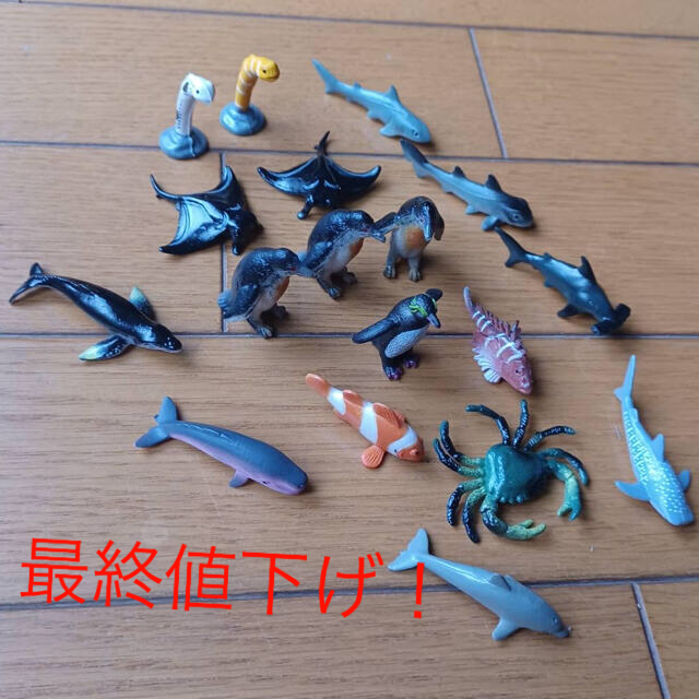 最終値下げ！　海の生き物 フィギュア 18個セット エンタメ/ホビーのフィギュア(その他)の商品写真