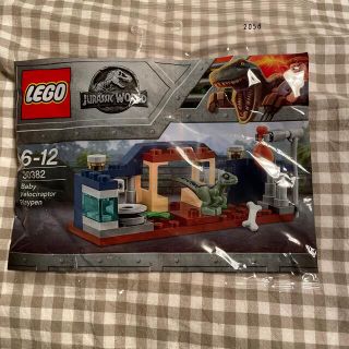 レゴ(Lego)のLEGO 30382(その他)