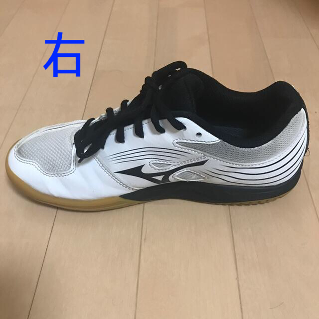 MIZUNO(ミズノ)のバレーシューズ メンズの靴/シューズ(スニーカー)の商品写真