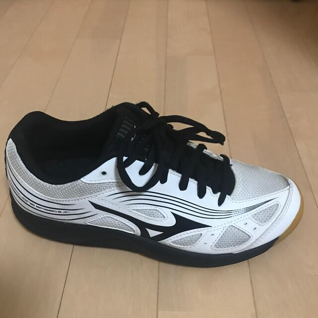 MIZUNO(ミズノ)のバレーシューズ メンズの靴/シューズ(スニーカー)の商品写真