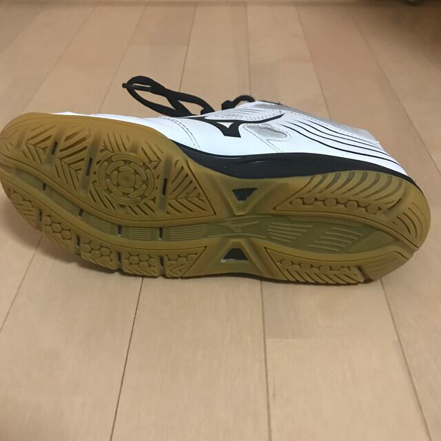 MIZUNO(ミズノ)のバレーシューズ メンズの靴/シューズ(スニーカー)の商品写真